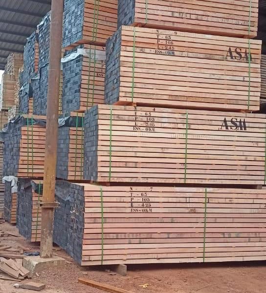 WhatsApp Image 2024-02-13 at 7.54.27 PM (1)