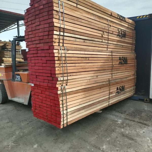 WhatsApp Image 2024-02-13 at 7.54.27 PM