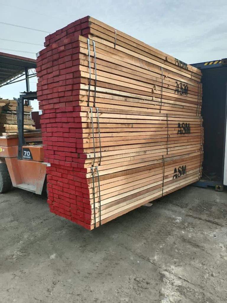 WhatsApp Image 2024-02-13 at 7.54.27 PM