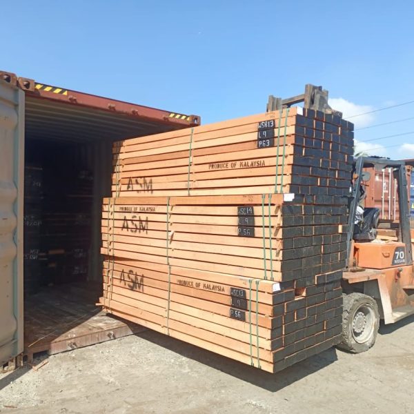 WhatsApp Image 2024-02-13 at 7.54.28 PM (2)