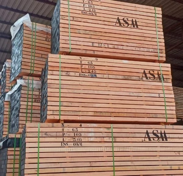 WhatsApp Image 2024-02-13 at 7.54.28 PM