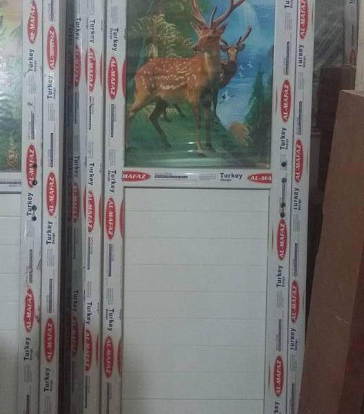 WhatsApp Image 2024-02-13 at 7.55.21 PM