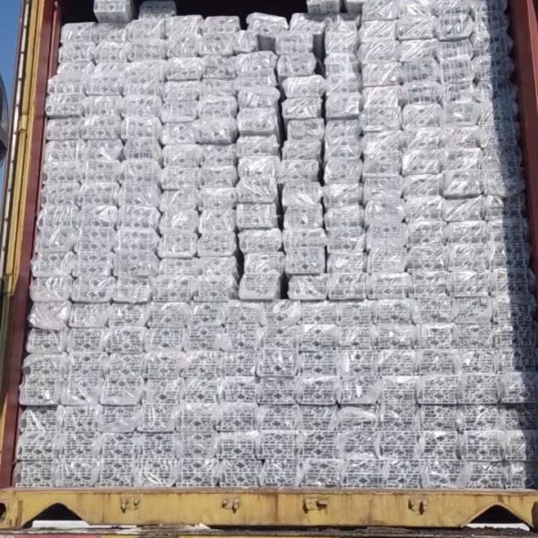 WhatsApp Image 2024-02-13 at 7.55.22 PM (1)